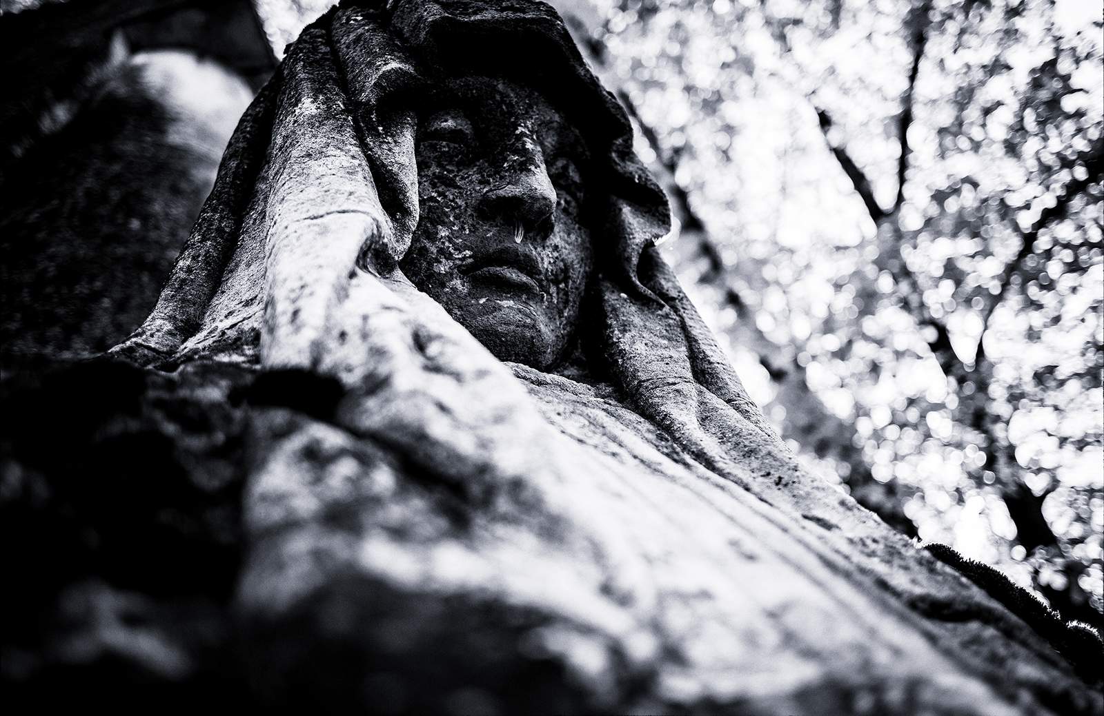 Cimitirul Bellu — Proiect foto documentar de Miluță Flueraș